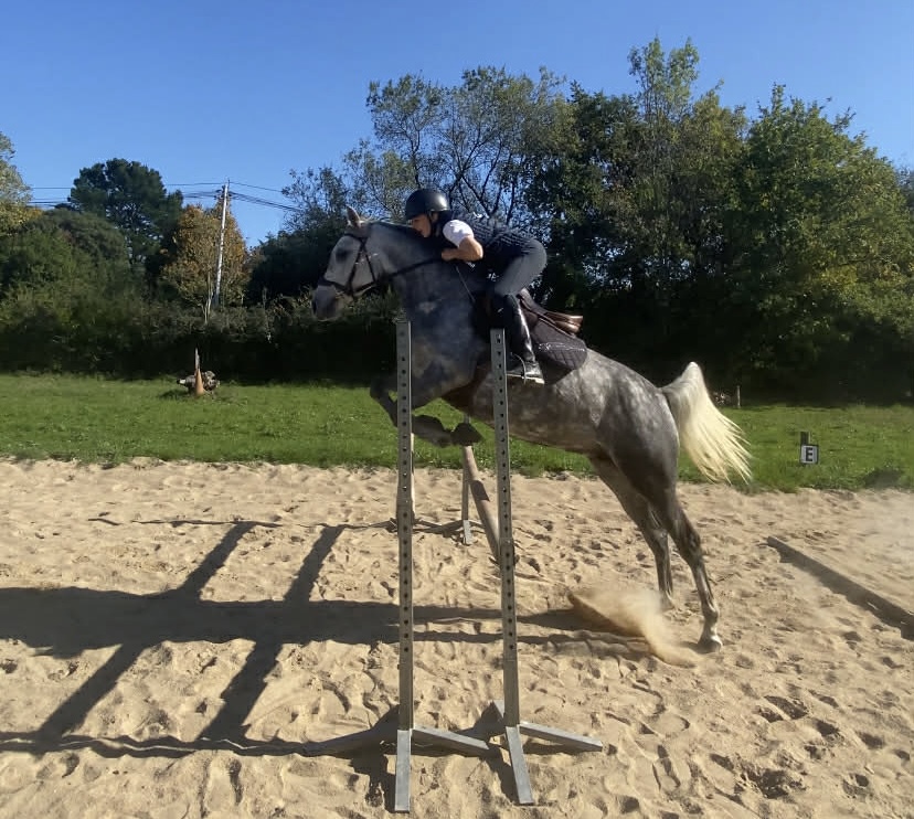 att.2zXacsgOqtsbwBOnzJd0Z8SM_T40F-qz-0XP20bvo88